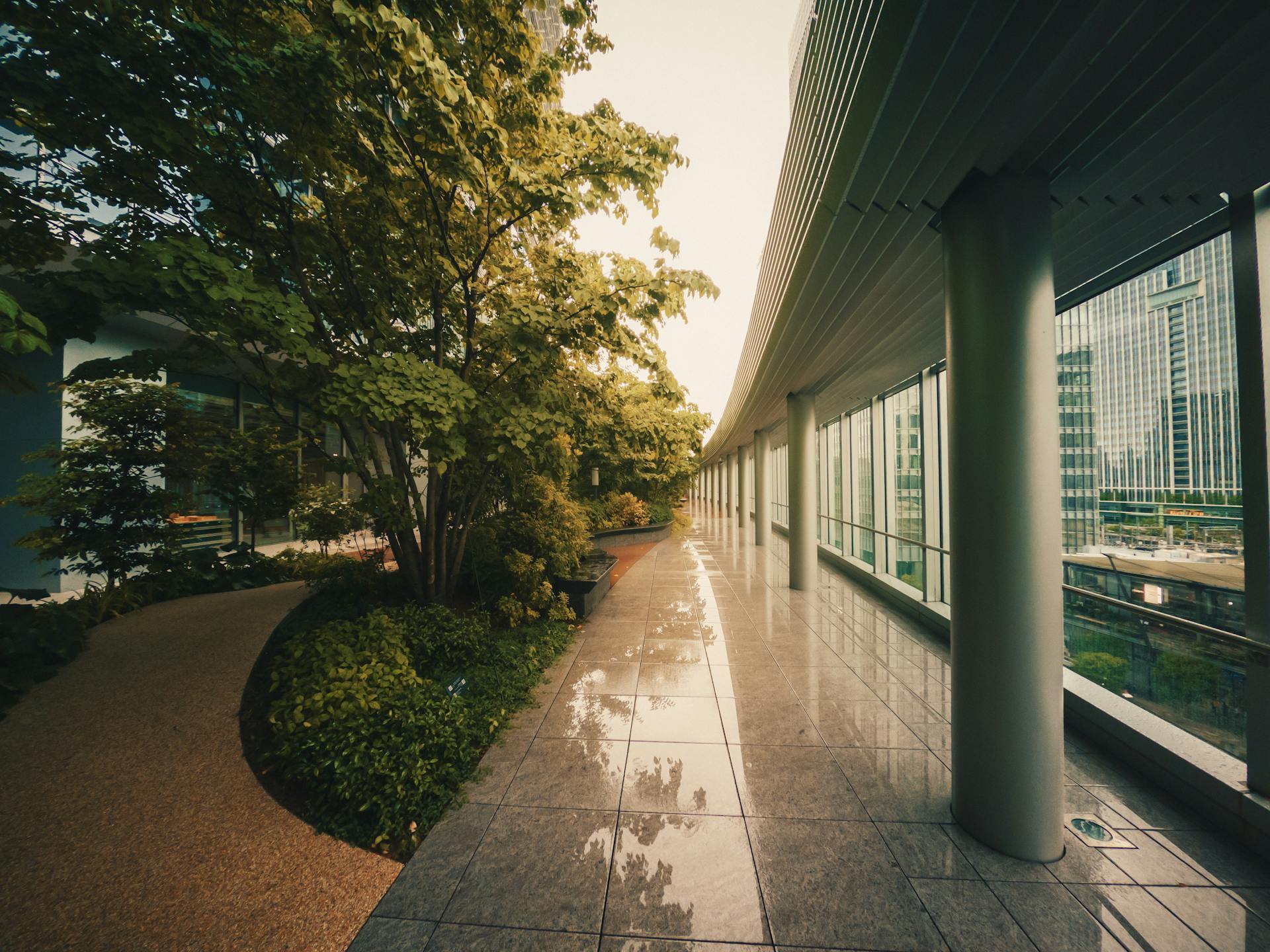 Grün in der Stadt - Pexels michael pointner